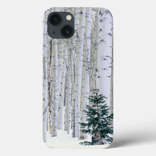 UTAH. USA. Aspen (Populus tremuloides) & Douglas Case-Mate iPhone Case (Back)