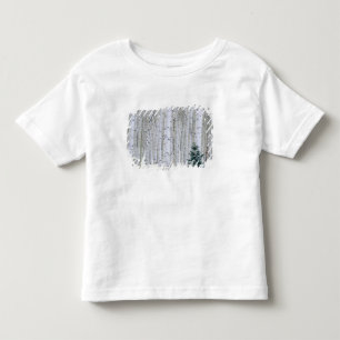 UTAH. USA. Aspen (Populus tremuloides) & Douglas Toddler T-Shirt