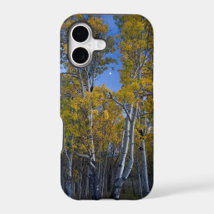Utah. USA. Aspen Trees And Moon At Dusk