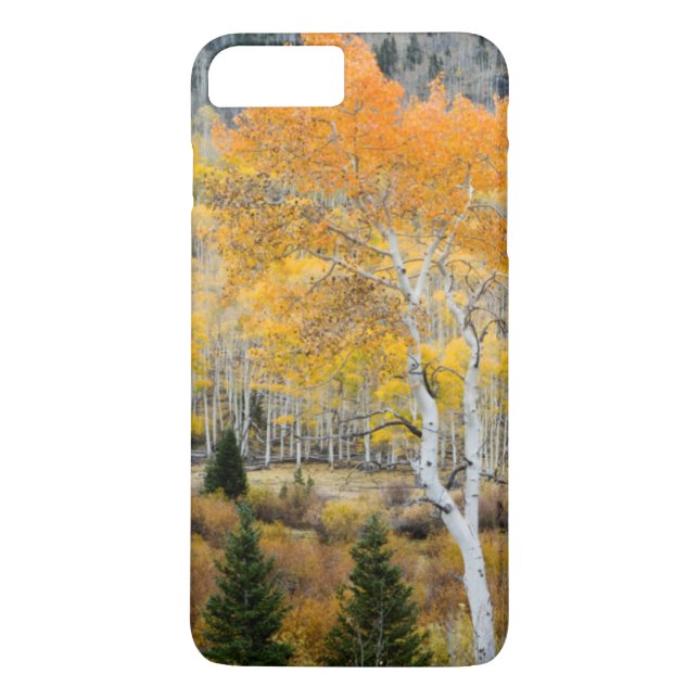 Utah, USA. Aspen Trees And Willow Thickets Case-Mate iPhone Case (Back)