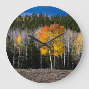 Utah, USA. Aspen Trees (Populus Tremuloides) 2 Large Clock