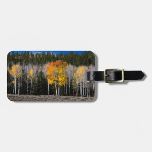Utah, USA. Aspen Trees (Populus Tremuloides) 2 Luggage Tag