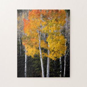 Utah, USA. Aspen Trees (Populus Tremuloides) 3 Jigsaw Puzzle