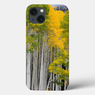 Utah. USA. Aspen Trees (Populus Tremuloides) iPhone 13 Case