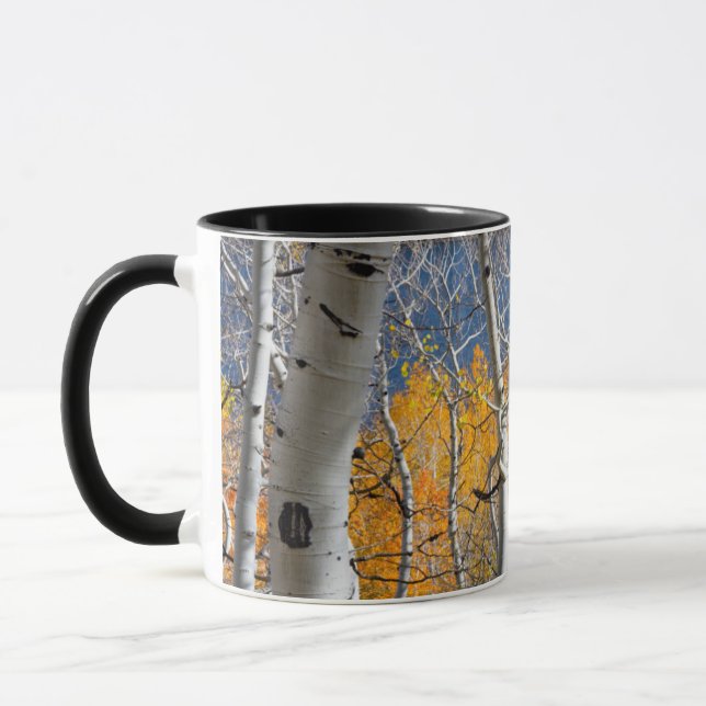 Utah, USA. Aspen Trees (Populus Tremuloides) Mug (Left)