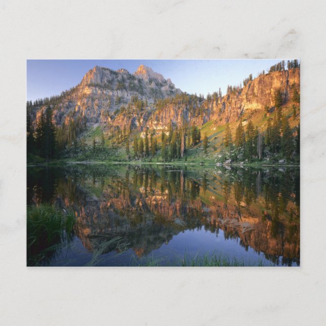 UTAH. USA. Mt. Magog reflected in White Pine Postcard (Front)