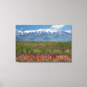 Utah, USA. Mt. Timpanogos Rises Above Canvas Print