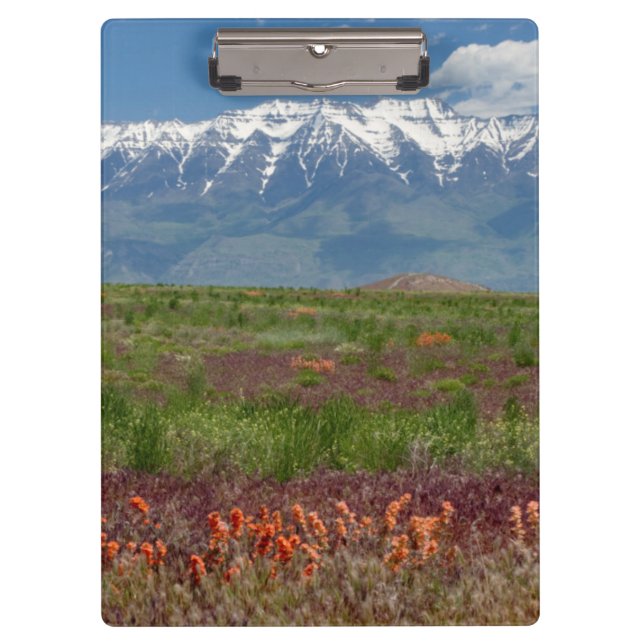 Utah, USA. Mt. Timpanogos Rises Above Clipboard (Front)