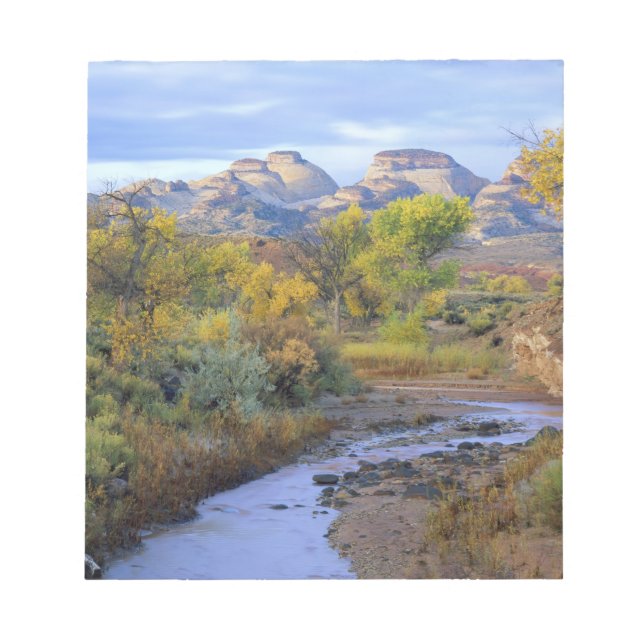 UTAH. USA. Pleasant Creek in autumn at sunrise. Notepad (Front)