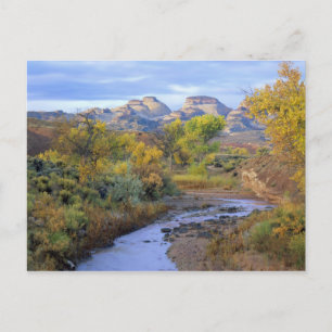 UTAH. USA. Pleasant Creek in autumn at sunrise. Postcard
