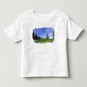UTAH. USA. Ponderosa pines Pinus ponderosa) & Toddler T-Shirt