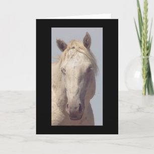 UTAH WILD HORSE THE ALBINO Folded Greeting Card