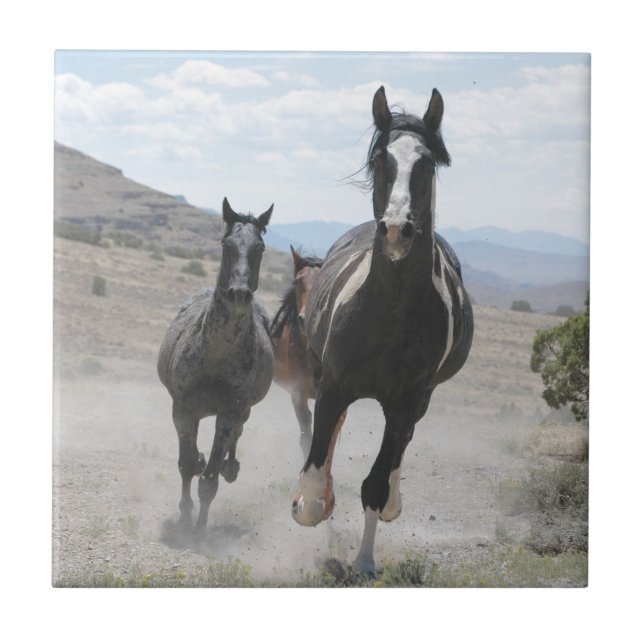 Utah Wild Horses Running Tile (Front)