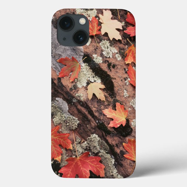 Utah, Zion National Park, Patterns of autumn Case-Mate iPhone Case (Back)