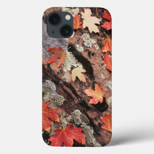 Utah, Zion National Park, Patterns of autumn iPhone 13 Case