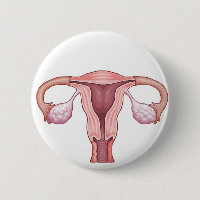 Uterus