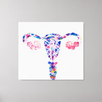 Uterus