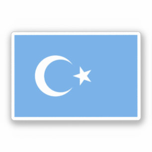 Uyghur/ East Turkestan Flag