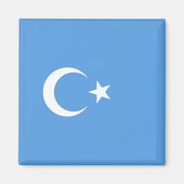 Uyghur Flag of East Turkistan (Uyghuristan) Magnet (Front)
