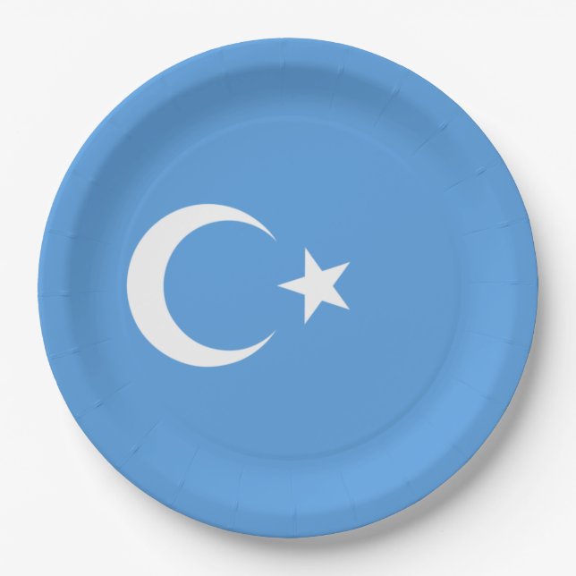 Uyghur Flag of East Turkistan (Uyghuristan) Paper Plate (Front)