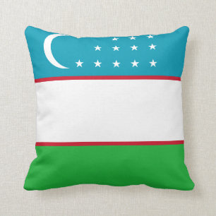 Uzbekistan Flag Cushion
