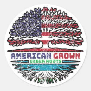Uzbekistan Uzbek Uzbeg US American USA America Classic Round Sticker