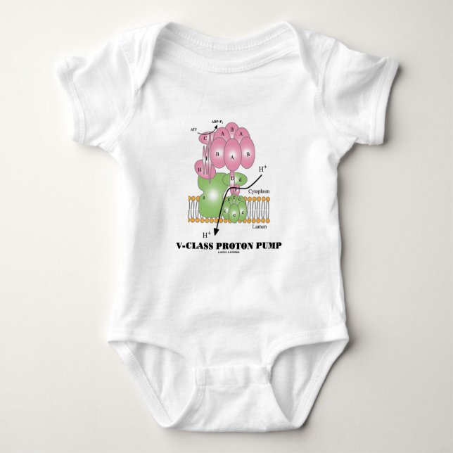 V-Class Proton Pump (Cellular Membrane) Baby Bodysuit (Front)