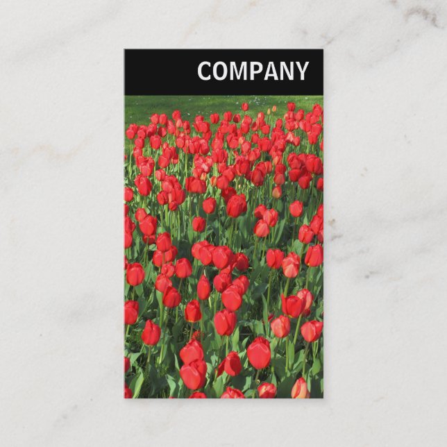 V Header - Bed of Red Tulips 02 Business Card (Front)