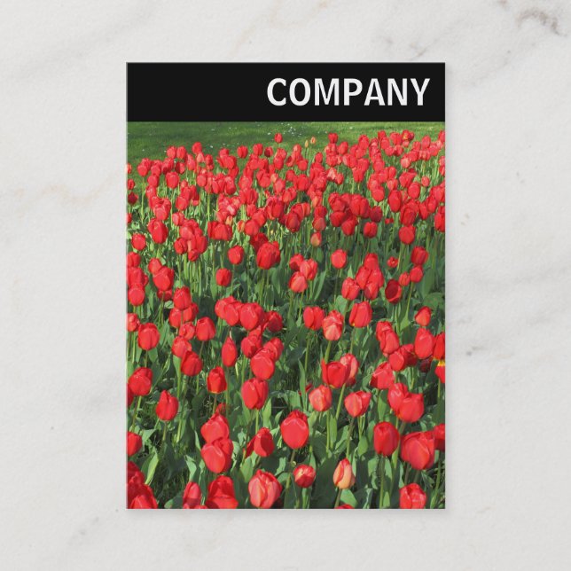 V Header - Bed of Red Tulips 02 Business Card (Front)