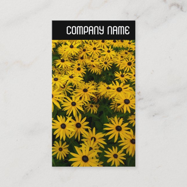V Header - Black-eyed Susans (Rudbeckia Hirta) Business Card (Front)