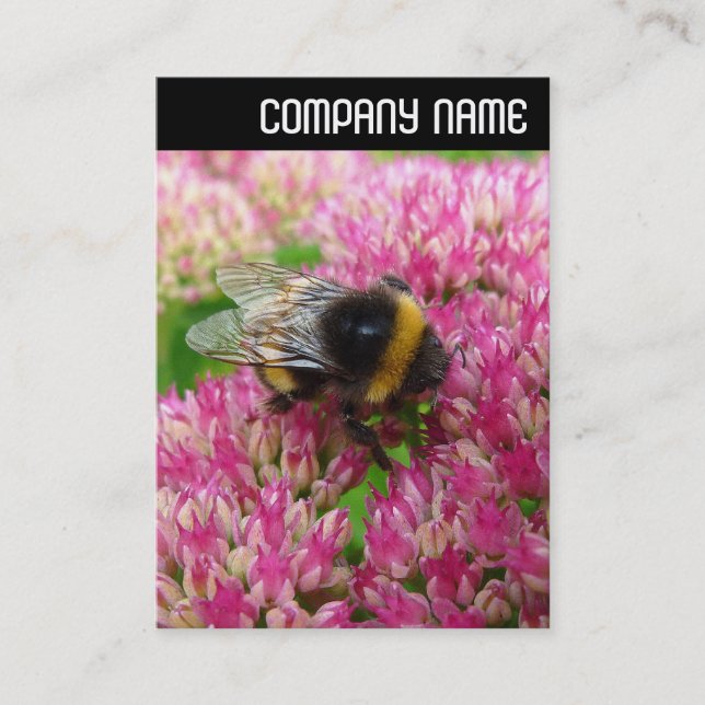 V Header - Bumble Bee on Sedum Business Card (Front)