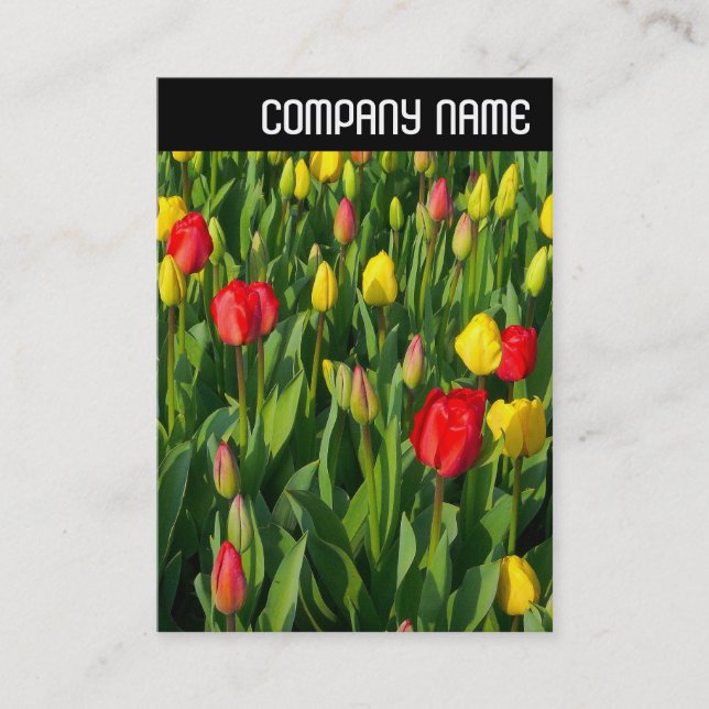 V Header - Colourful Tulips II Business Card (Front)