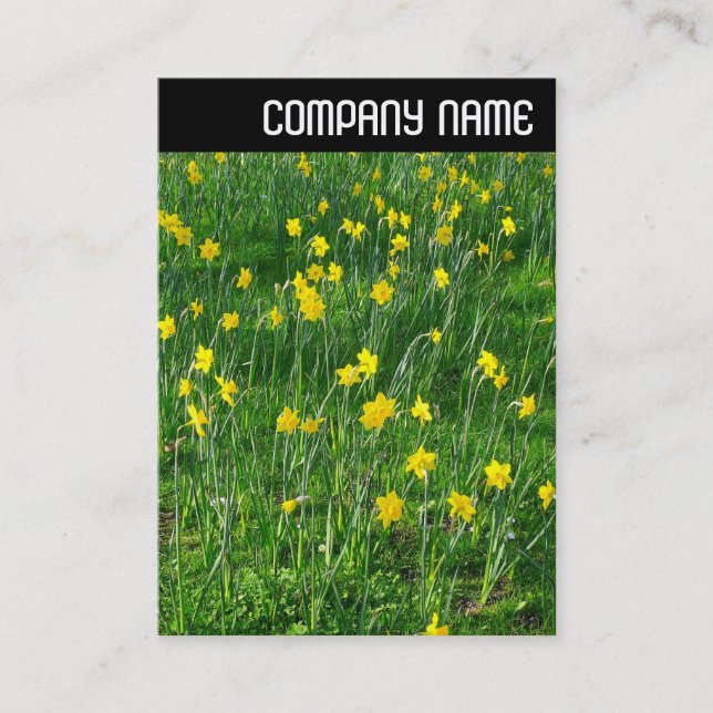 V Header - Daffodils/Narcissus Business Card (Front)
