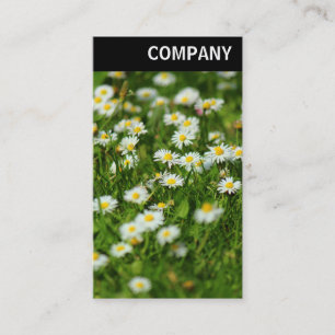 V Header - Daisy Meadow Business Card