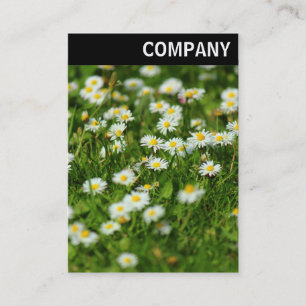 V Header - Daisy Meadow Business Card