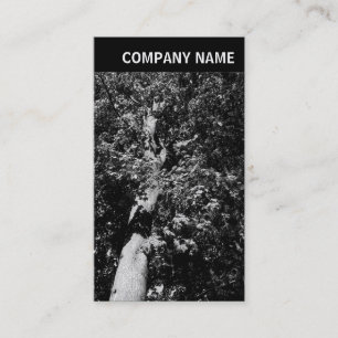 V Header - Image - Plane Tree Business Card