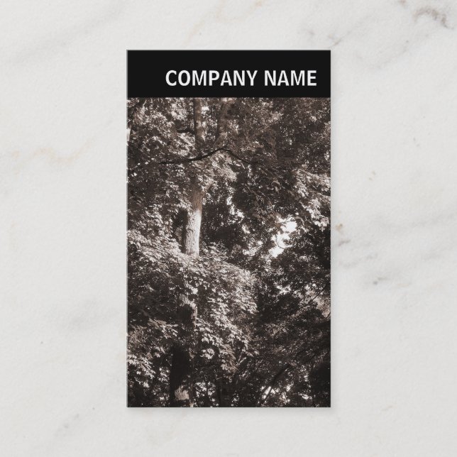 V Header - Image - Plane Trees Business Card (Front)