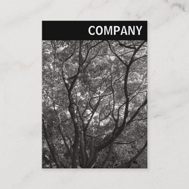 V Header - Japanese Branches 02 Business Card (Front)