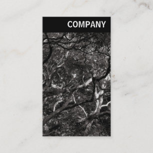 V Header - Japanese Branches 03 Business Card