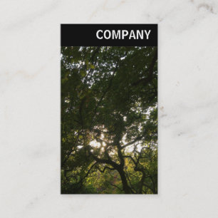V Header - Japanese Branches 04 Business Card
