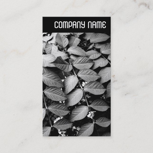V Header - Leaves Business Card (Front)