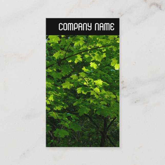 V Header - Leaves in Spring Business Card (Front)