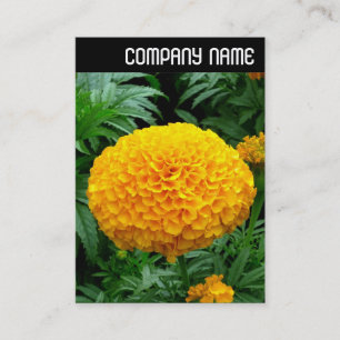 V Header - Orange Chrysanthemum Business Card