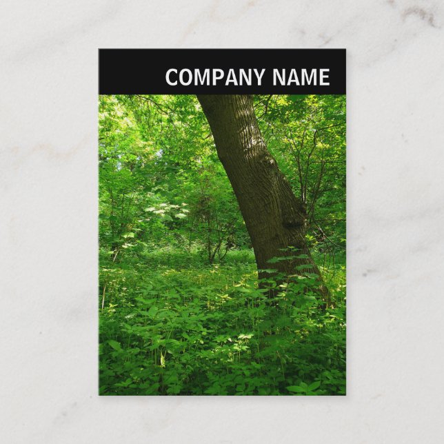 V Header - Photo - Spring in the Woods Business Card (Front)