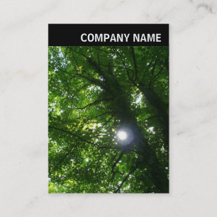 V Header - Photo - Sun in The Trees Business Card