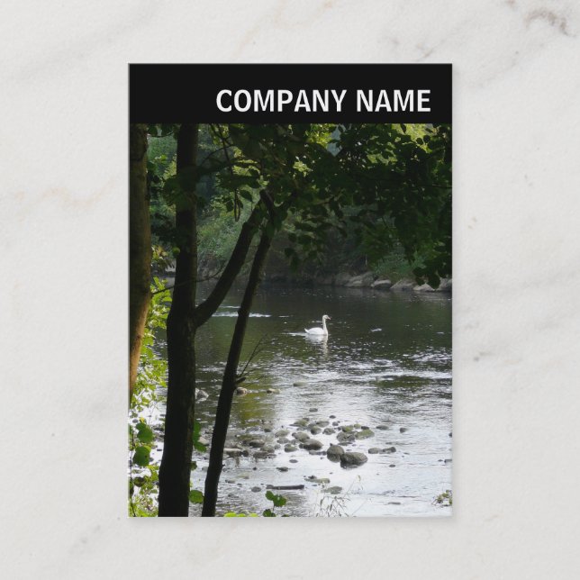 V Header - Photo - Swan on the River Business Card (Front)