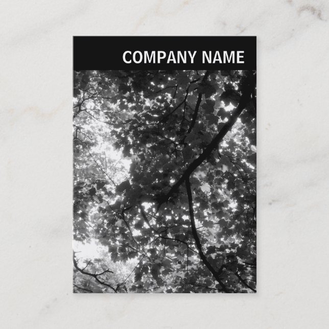 V Header - Photo - Trees in Spring Business Card (Front)