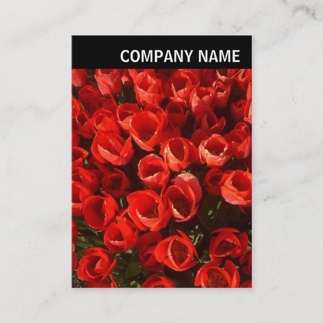 V Header - Photo - Tulips Business Card (Front)