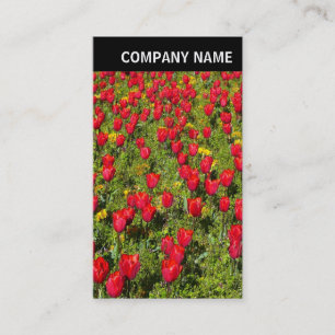 V Header - Photo - Tulips Business Card