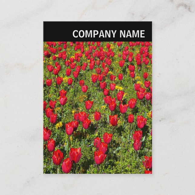 V Header - Photo - Tulips Business Card (Front)